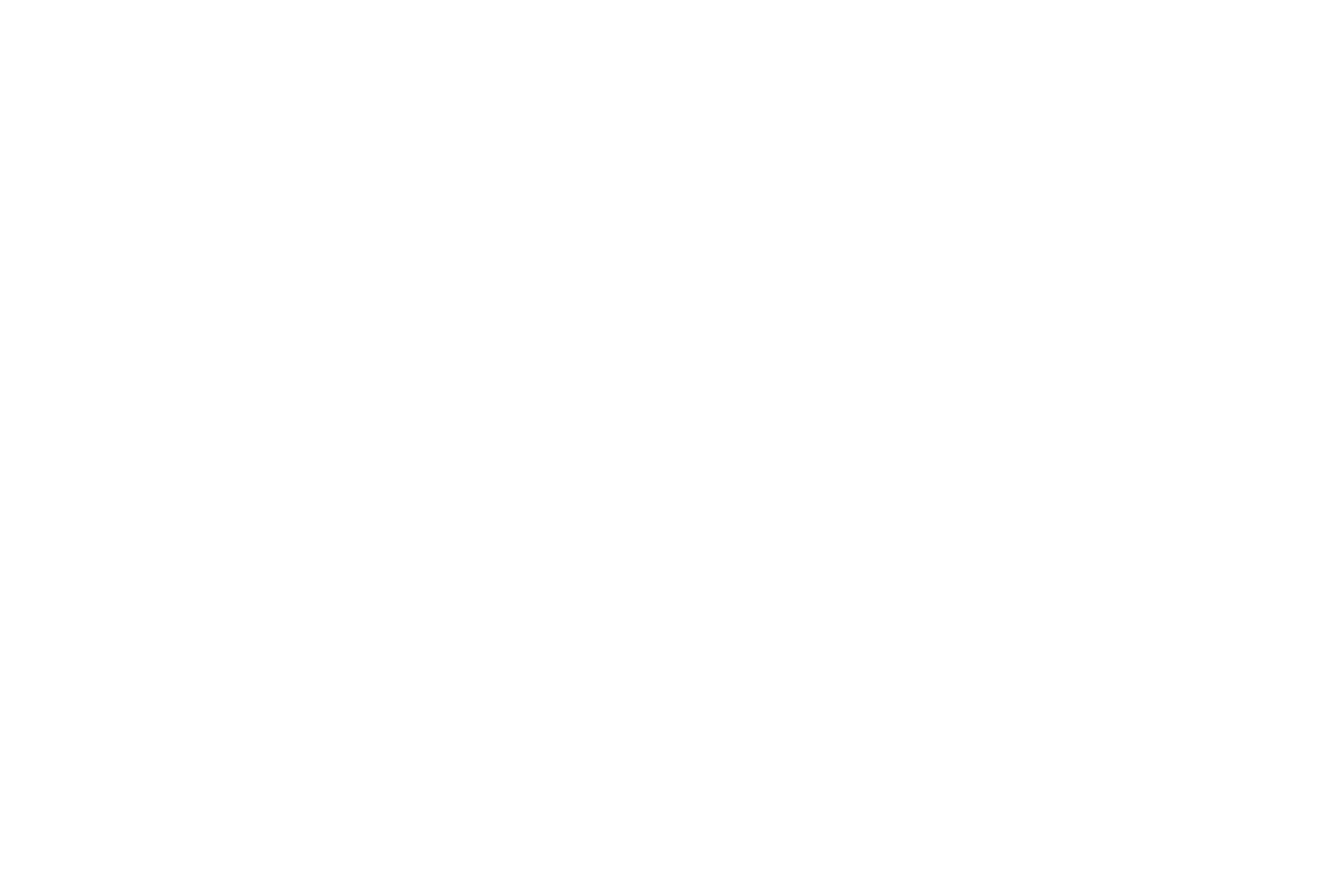 ocarreboutique.com